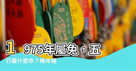 1975生肖運勢|【1975年什麼命】1975年出生生肖兔是什麼命？瞭解你的五行屬。